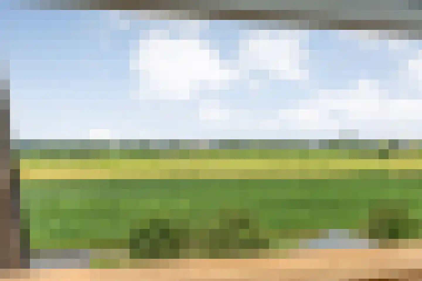 Bieslook 4 Noordscheschut thumbnail 37