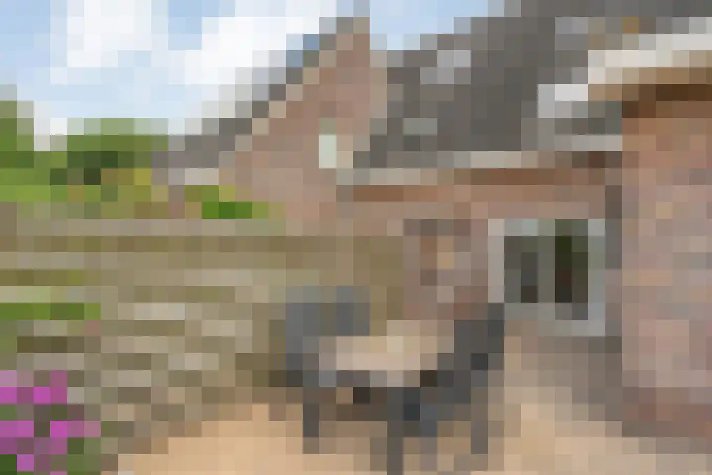 Bieslook 4 Noordscheschut thumbnail 39