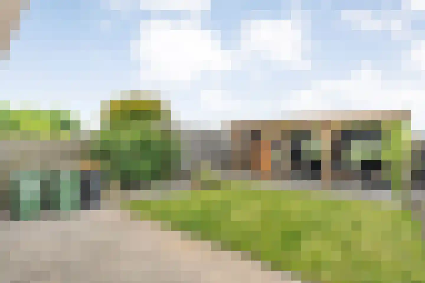 Bieslook 4 Noordscheschut thumbnail 40