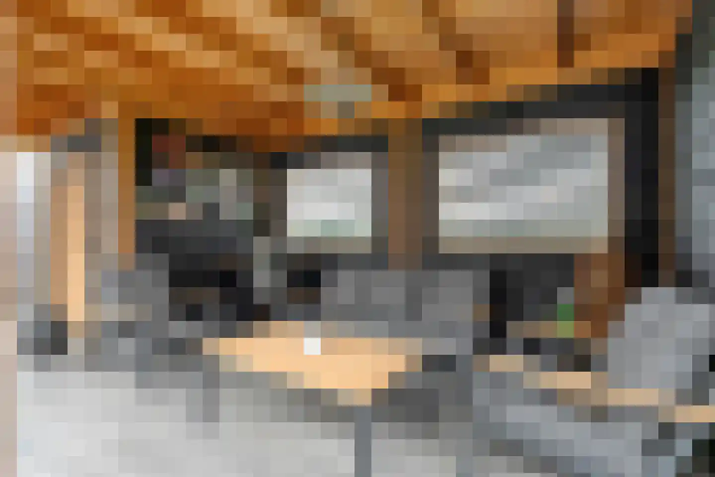 Bieslook 4 Noordscheschut thumbnail 42