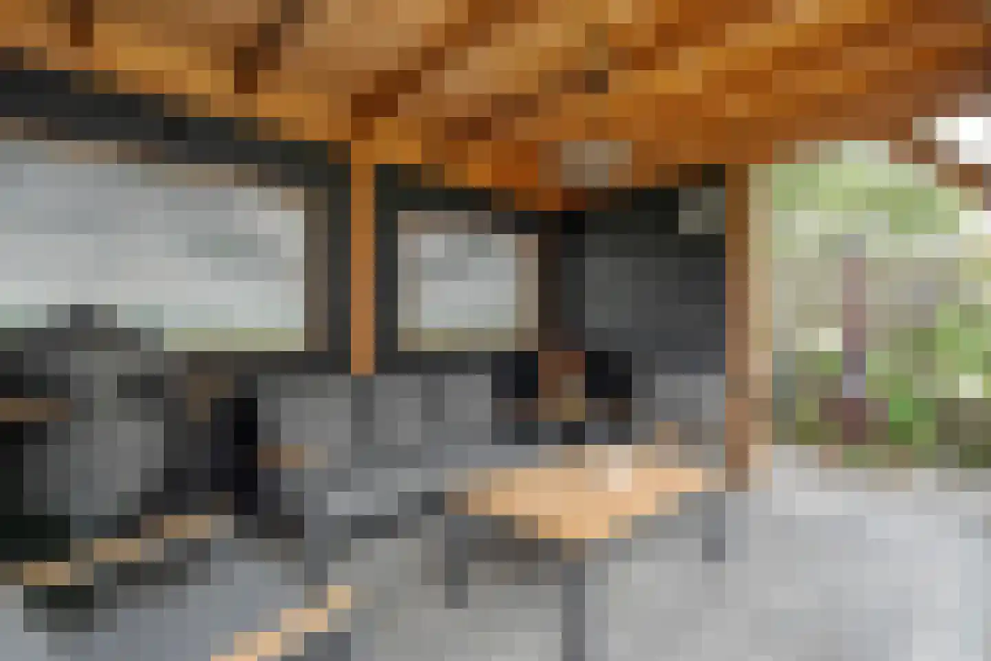 Bieslook 4 Noordscheschut thumbnail 43