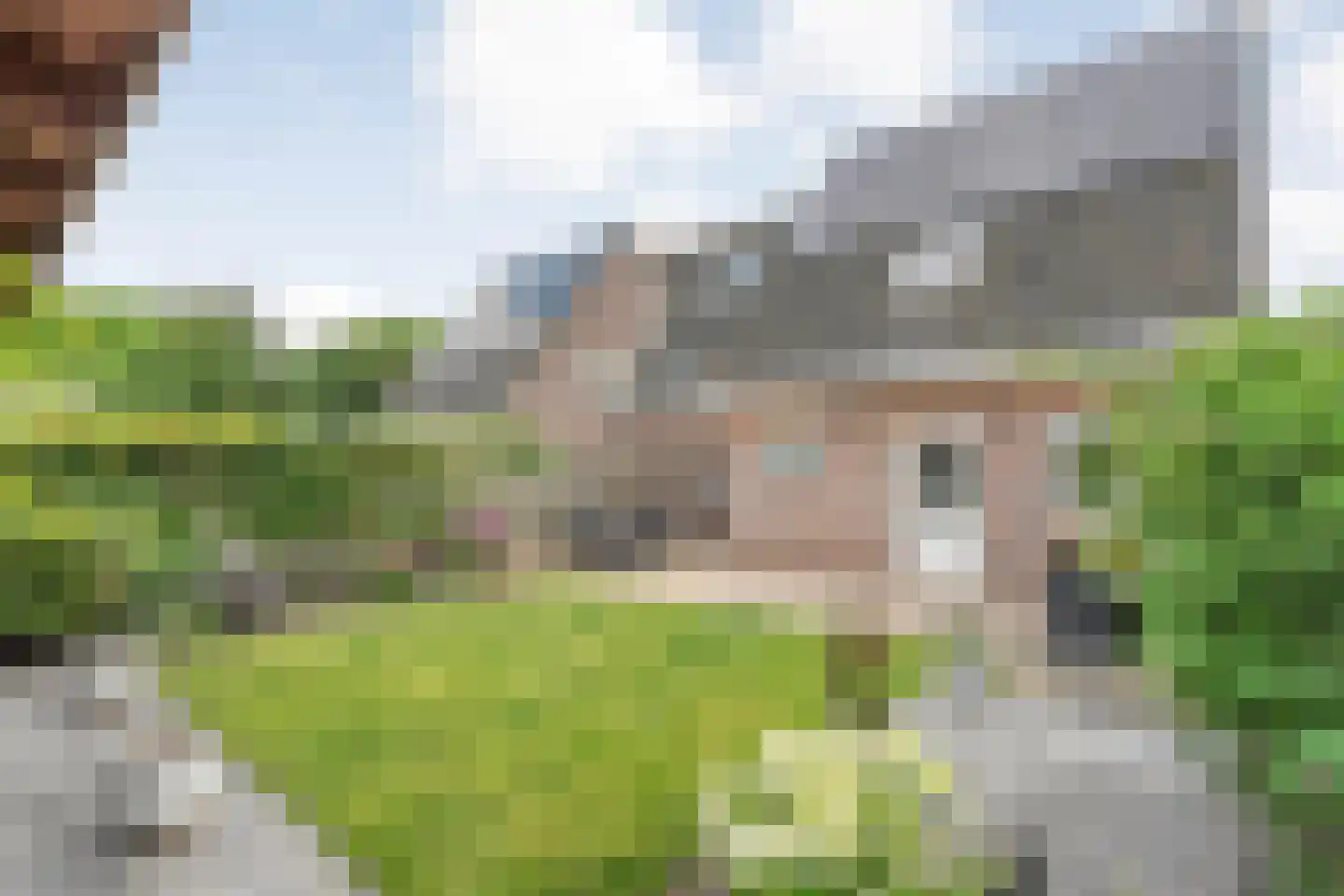 Bieslook 4 Noordscheschut thumbnail 44
