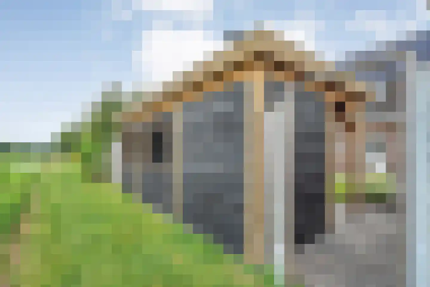 Bieslook 4 Noordscheschut thumbnail 45