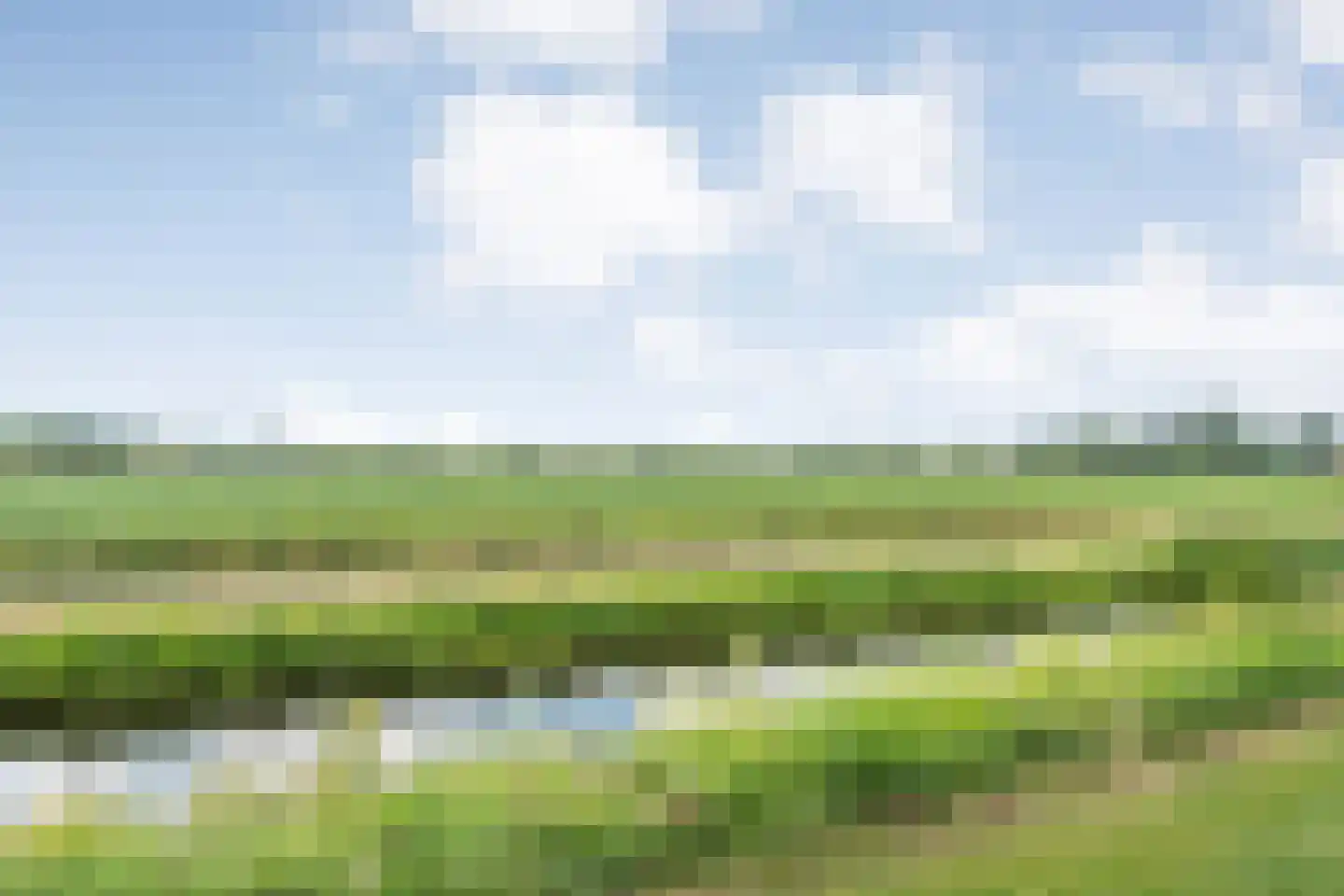 Bieslook 4 Noordscheschut thumbnail 46