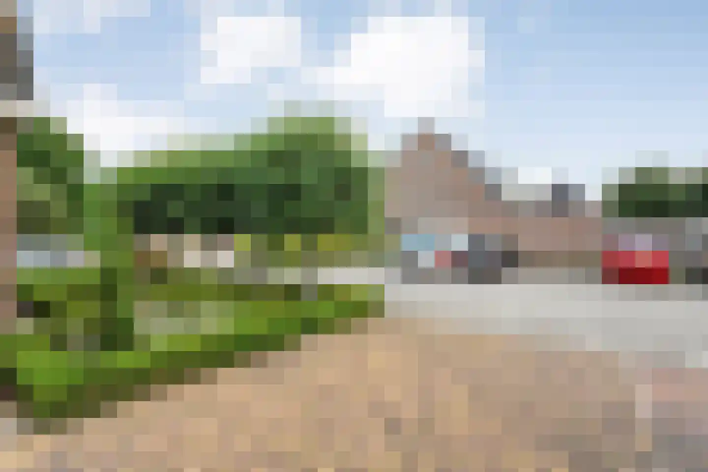 Bieslook 4 Noordscheschut thumbnail 47