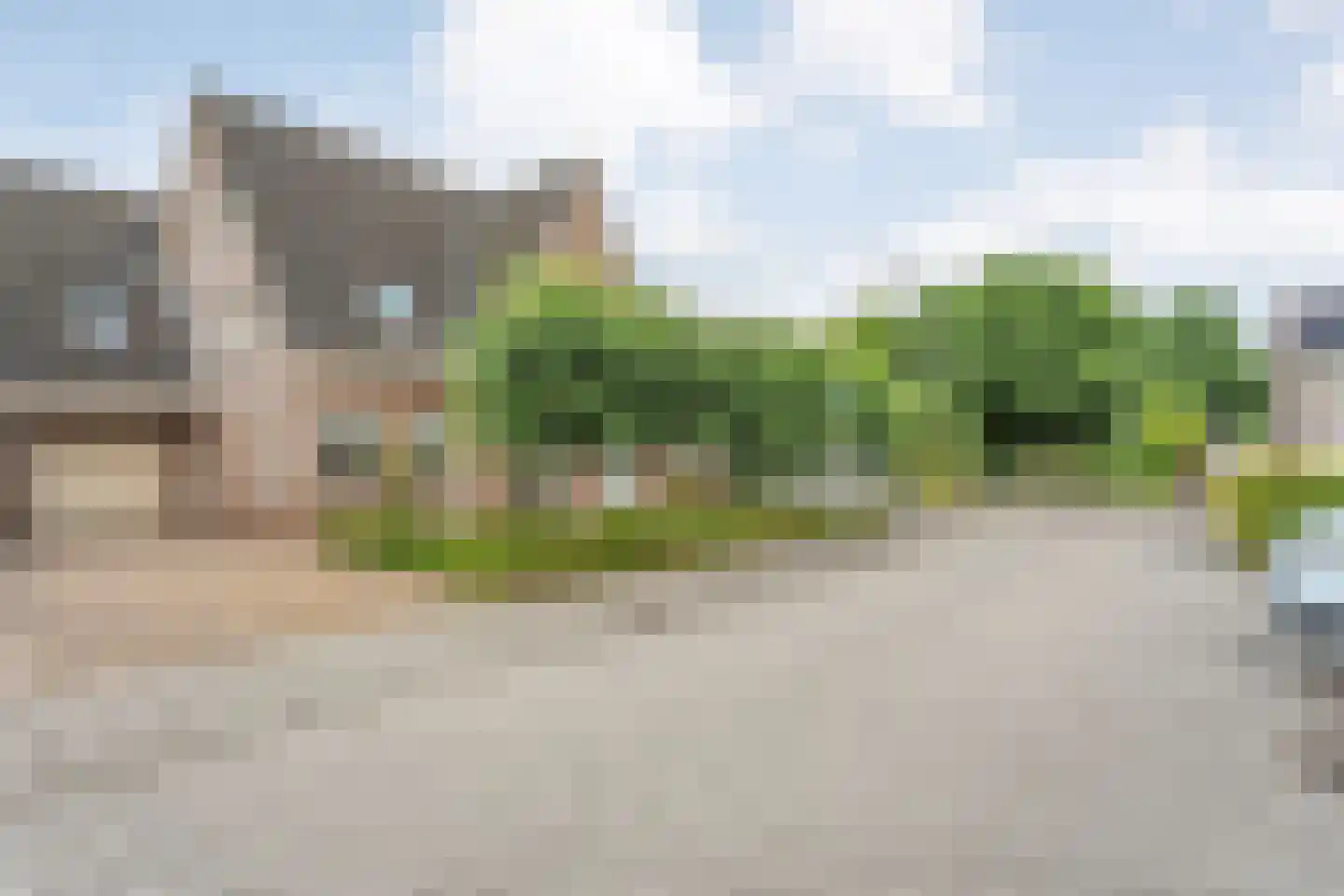 Bieslook 4 Noordscheschut thumbnail 48