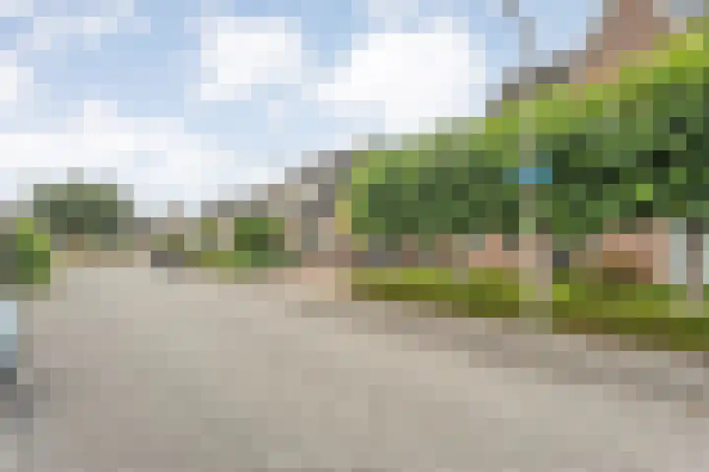 Bieslook 4 Noordscheschut thumbnail 49