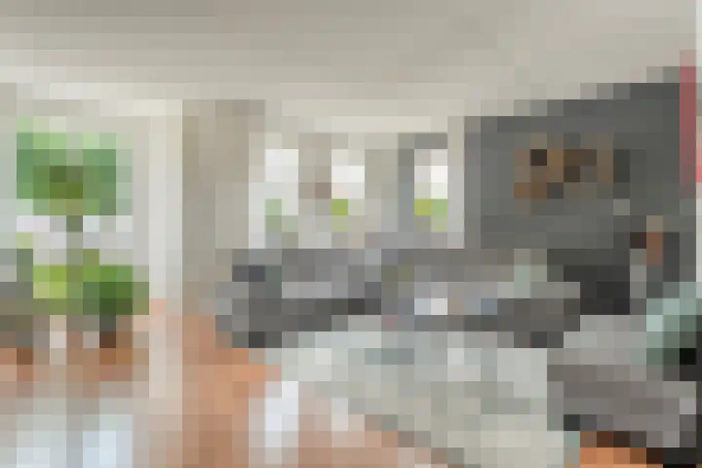Bieslook 4 Noordscheschut thumbnail 5