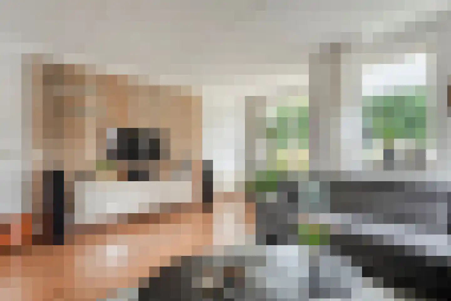 Bieslook 4 Noordscheschut thumbnail 7