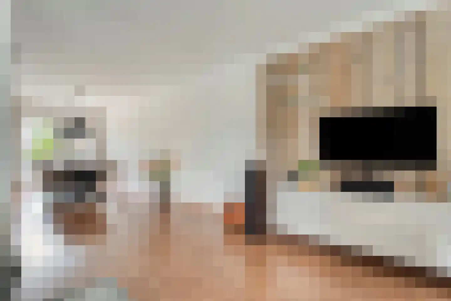 Bieslook 4 Noordscheschut thumbnail 8