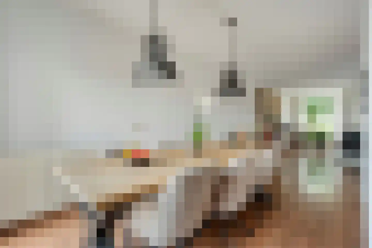 Bieslook 4 Noordscheschut thumbnail 9