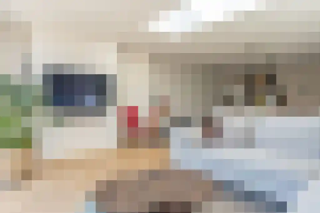 Bieslook 45 Oisterwijk thumbnail 13