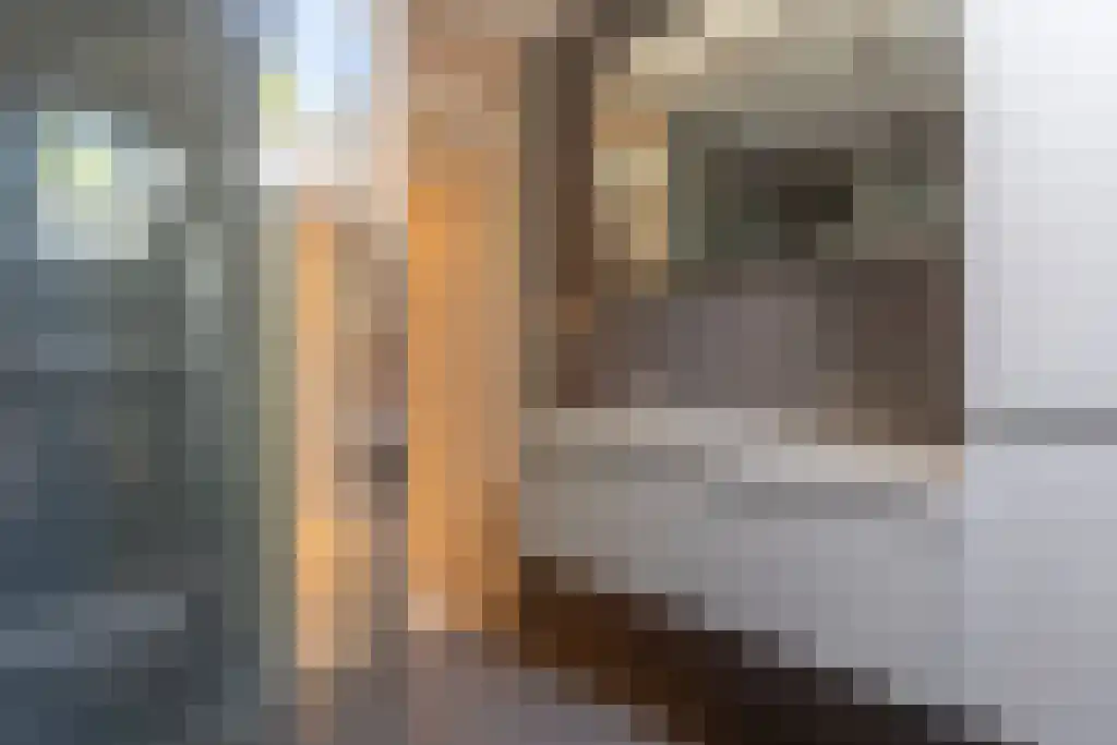 Bieslook 45 Oisterwijk thumbnail 30