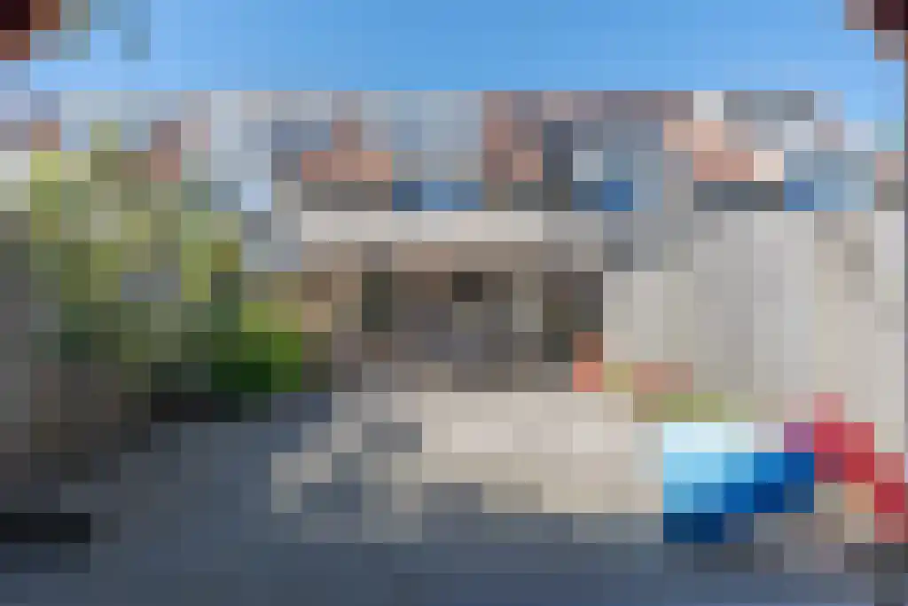 Bieslook 45 Oisterwijk thumbnail 40