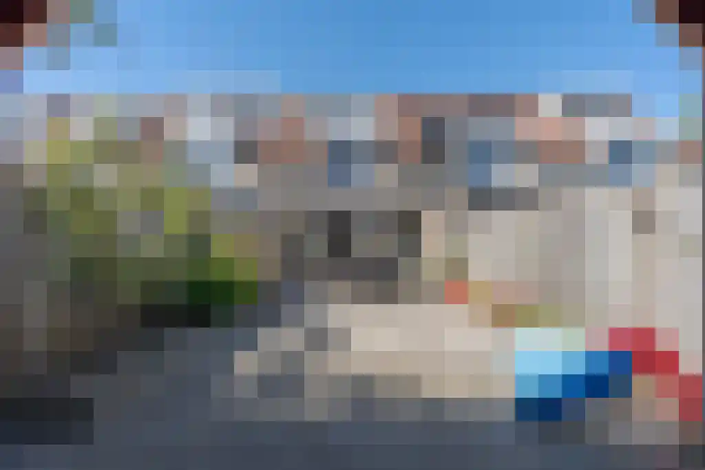 Bieslook 45 Oisterwijk thumbnail 41