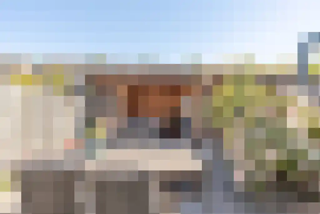 Bieslook 45 Oisterwijk thumbnail 42