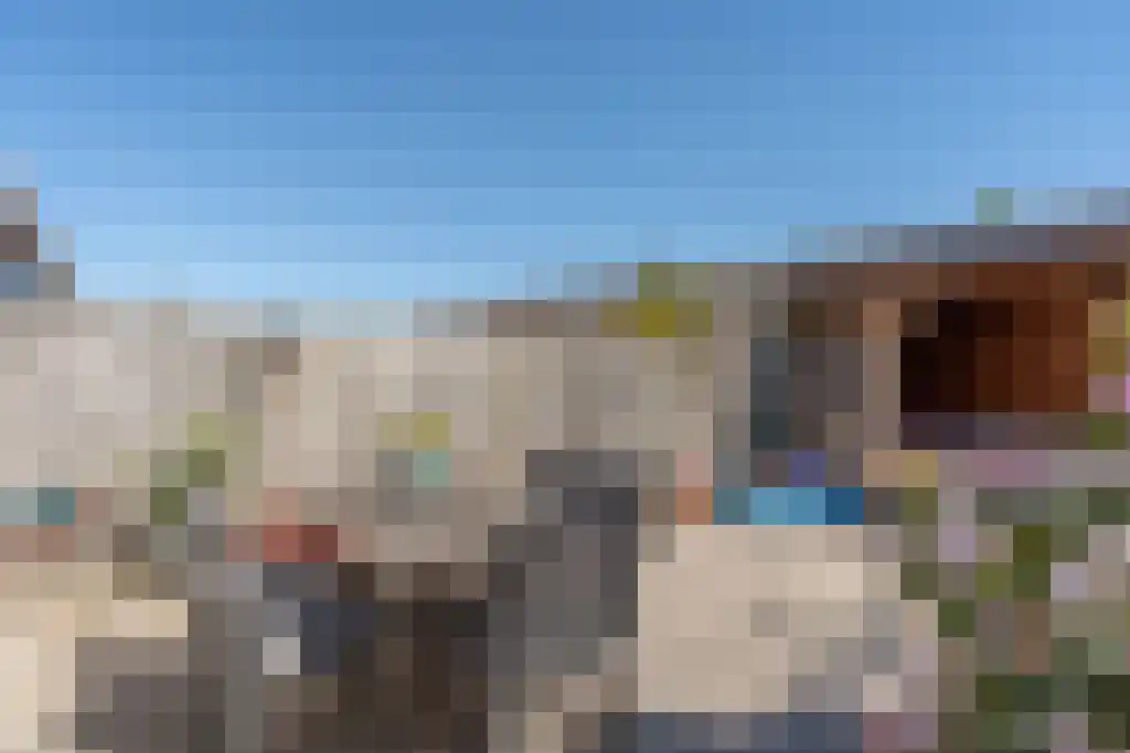 Bieslook 45 Oisterwijk thumbnail 43