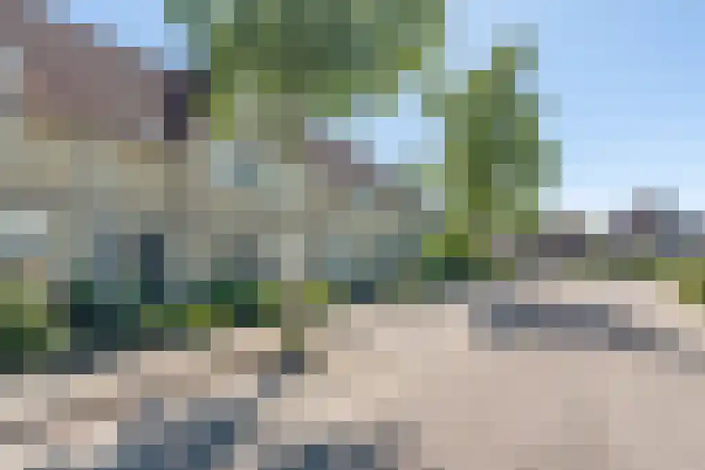 Bieslook 45 Oisterwijk thumbnail 43