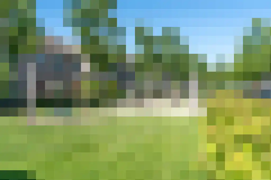 Bieslook 45 Oisterwijk thumbnail 48