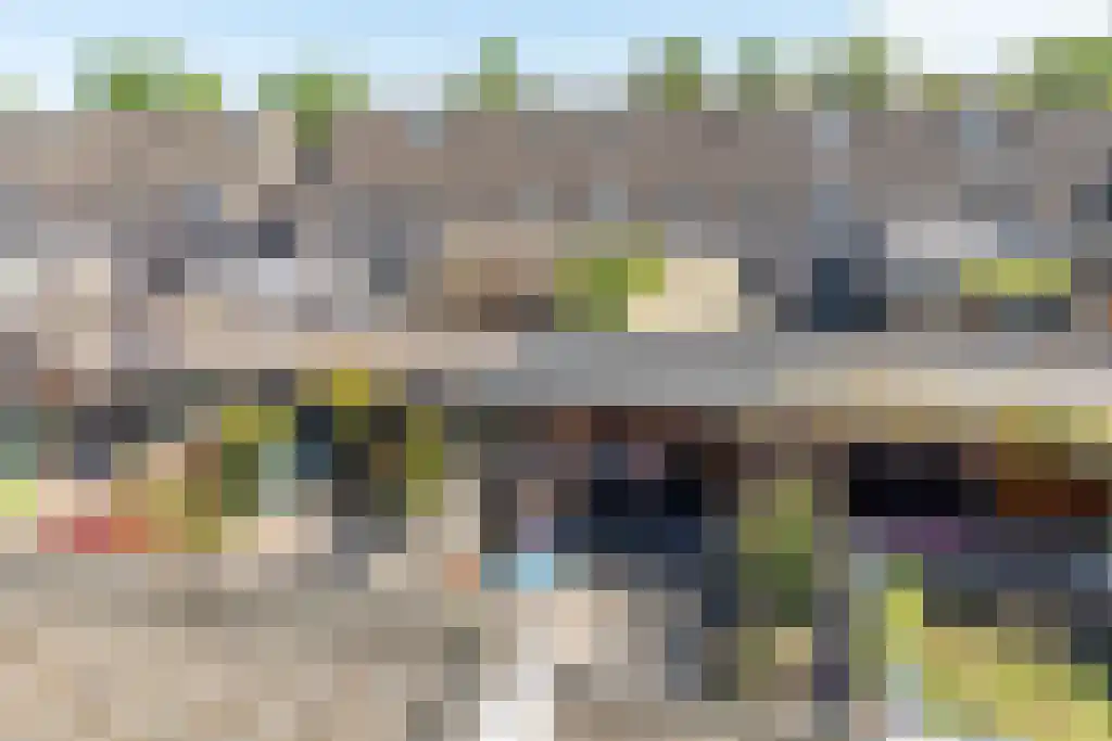 Bieslook 45 Oisterwijk thumbnail 50