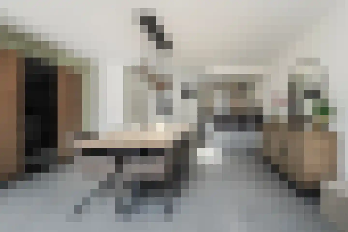 Bieslook 49 Oisterwijk thumbnail 4