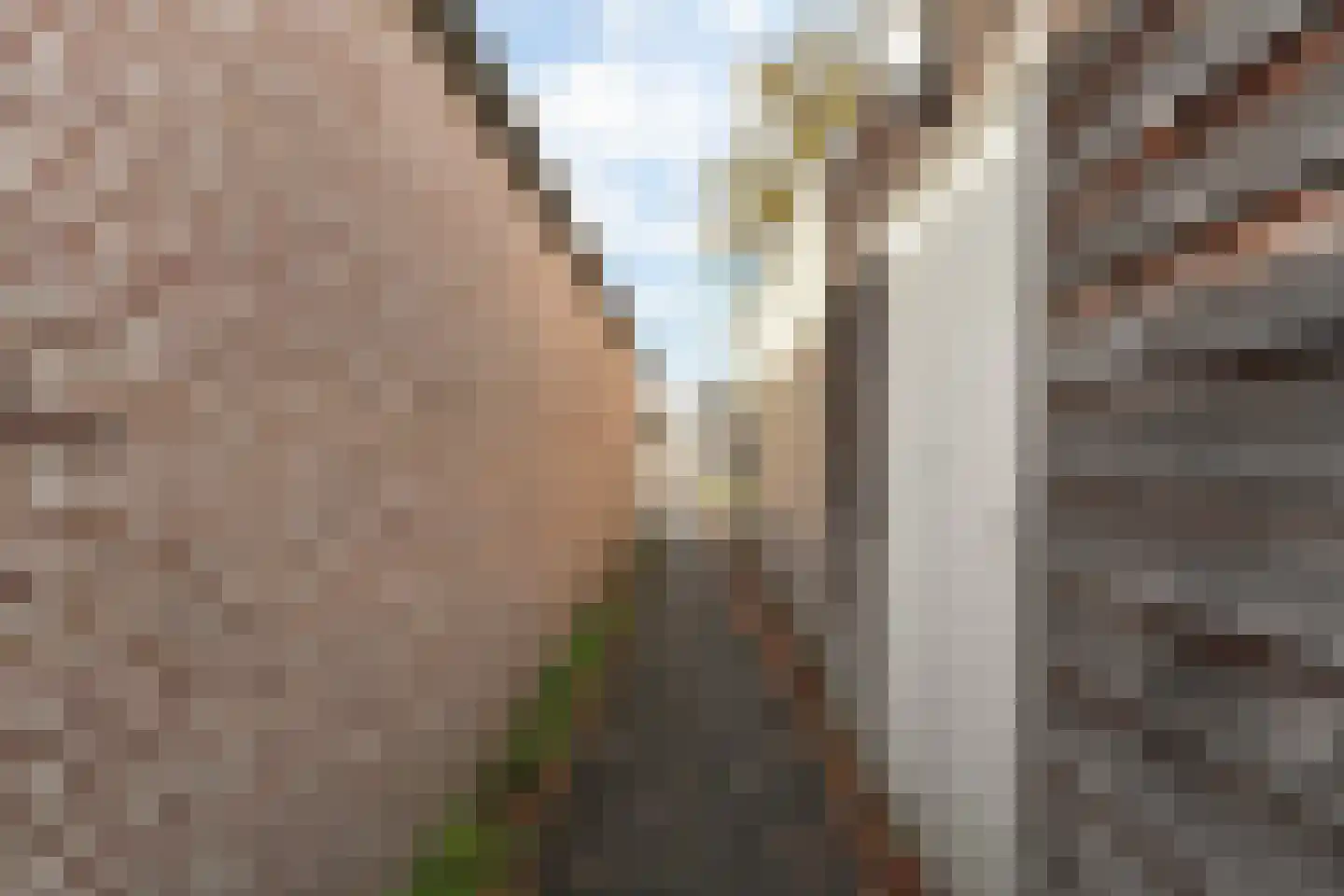 Bieslook 49 Oisterwijk thumbnail 47