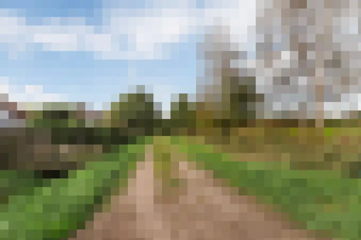 Bieslook 49 Oisterwijk thumbnail 49