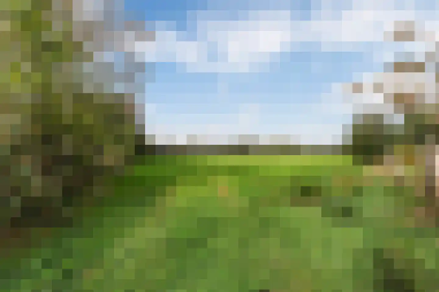 Bieslook 49 Oisterwijk thumbnail 50