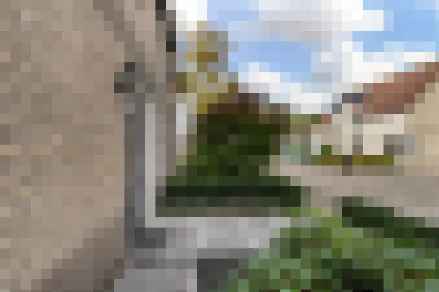 Bieslook 49 Oisterwijk thumbnail 7