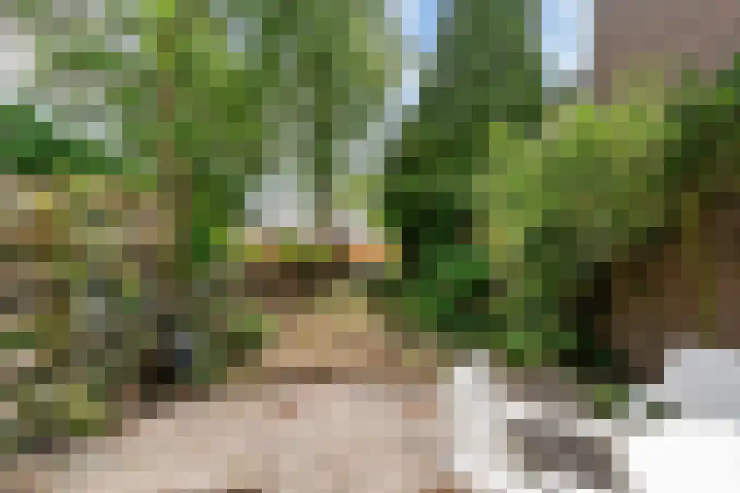 Bieslook 58 Uithoorn thumbnail 23