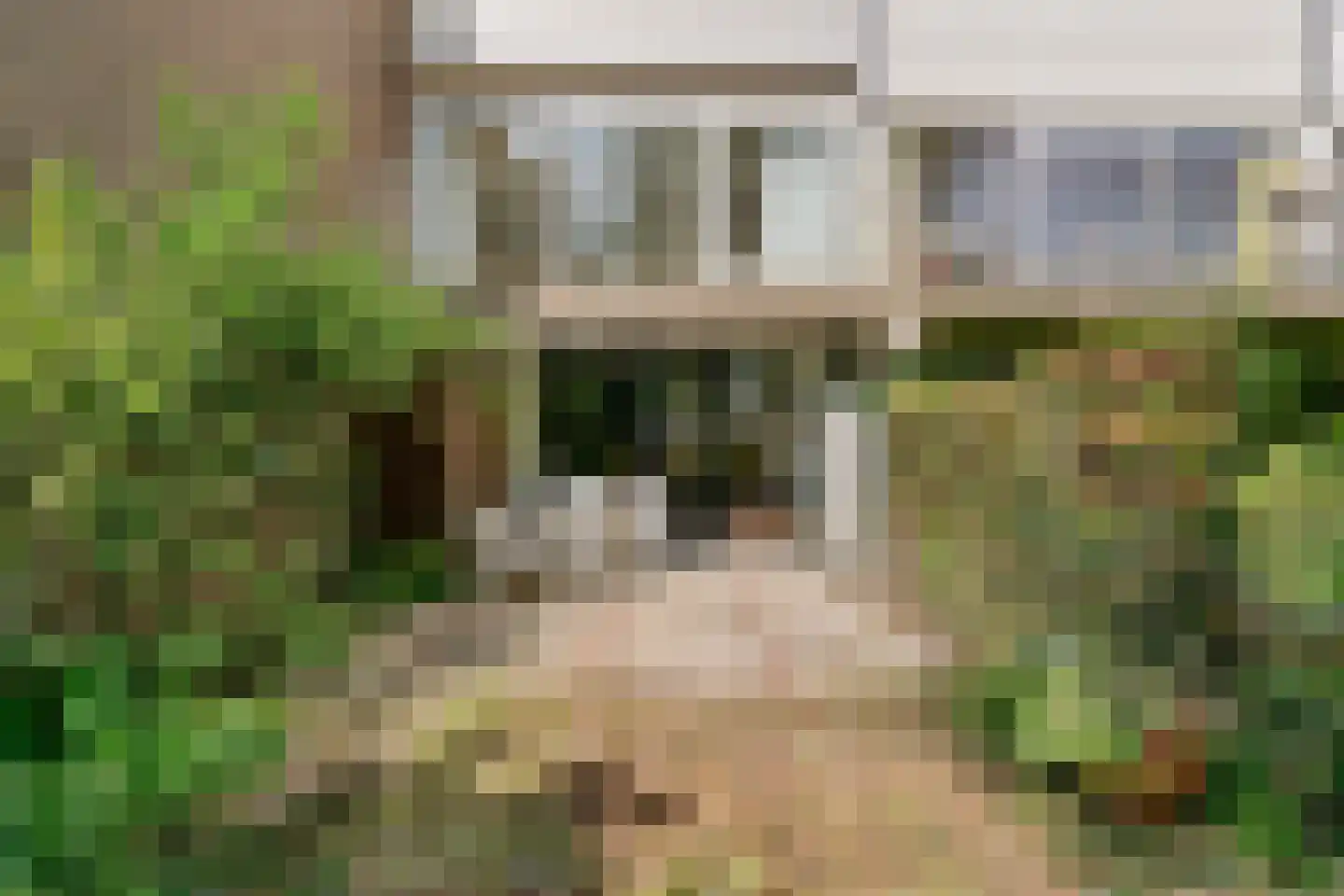 Bieslook 58 Uithoorn thumbnail 24