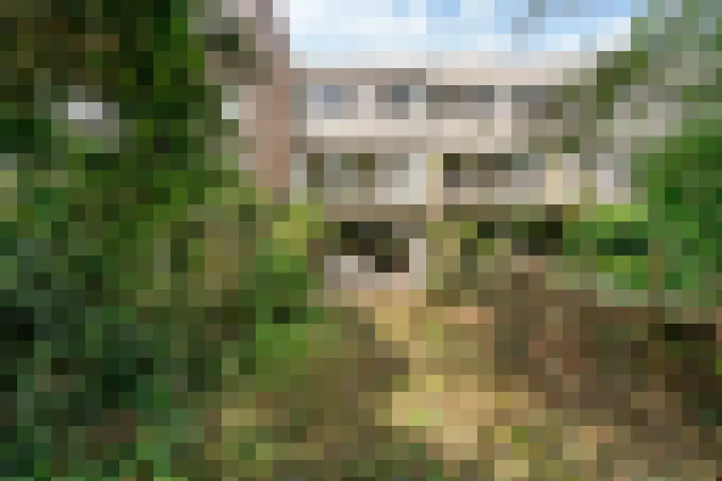 Bieslook 58 Uithoorn thumbnail 25