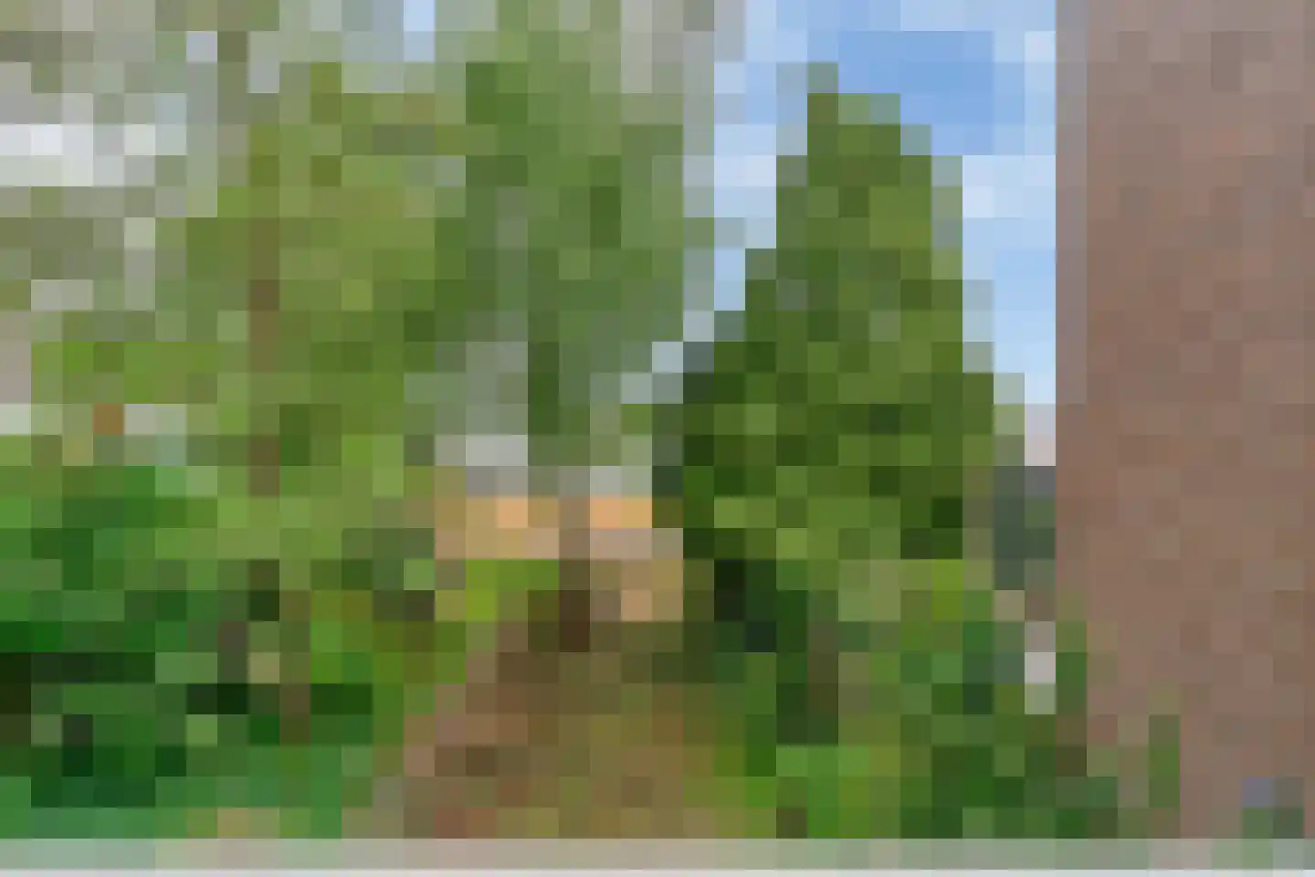 Bieslook 58 Uithoorn thumbnail 26