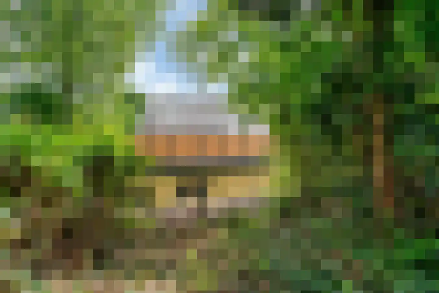 Bieslook 58 Uithoorn thumbnail 27
