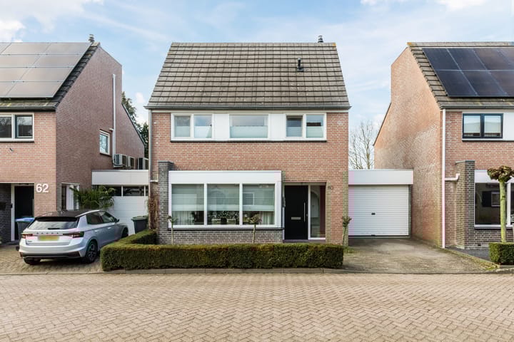 Bieslook 60 in Oisterwijk foto