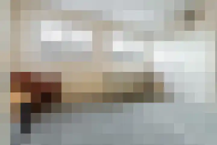 Bieslook 60 Oisterwijk thumbnail 23
