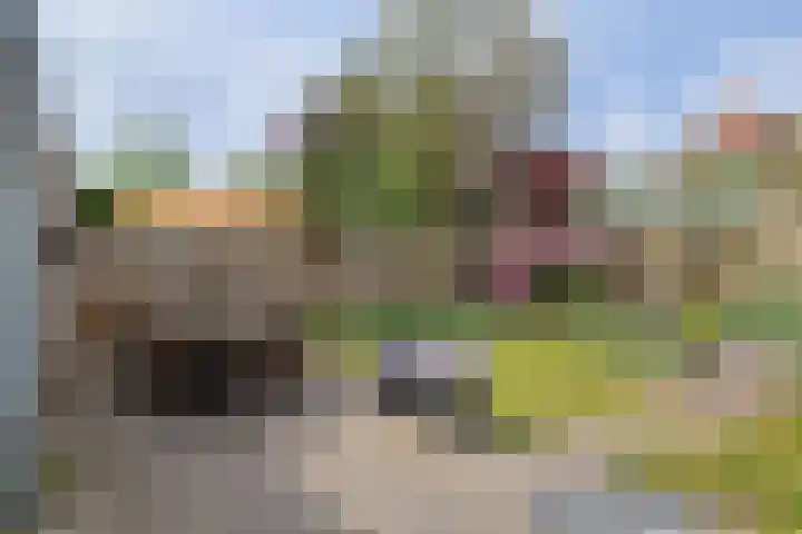 Bieslook 60 Oisterwijk thumbnail 25