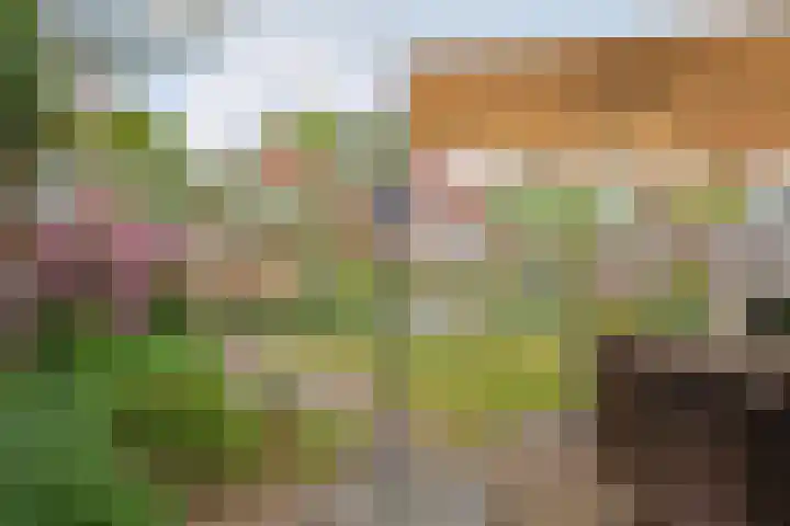 Bieslook 60 Oisterwijk thumbnail 26