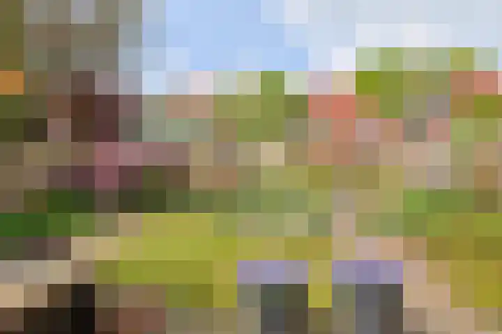 Bieslook 60 Oisterwijk thumbnail 27
