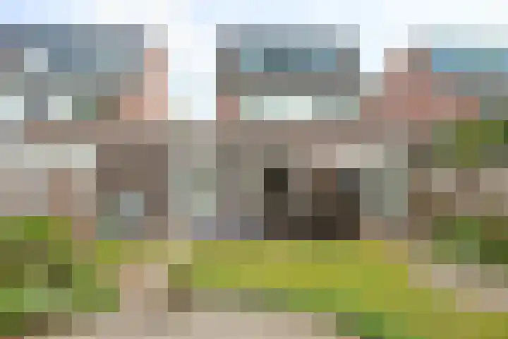 Bieslook 60 Oisterwijk thumbnail 28