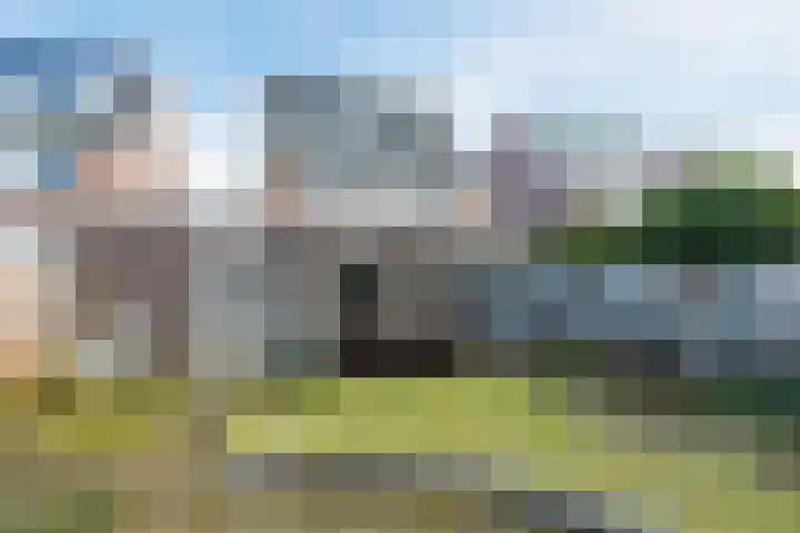 Bieslook 60 Oisterwijk thumbnail 29
