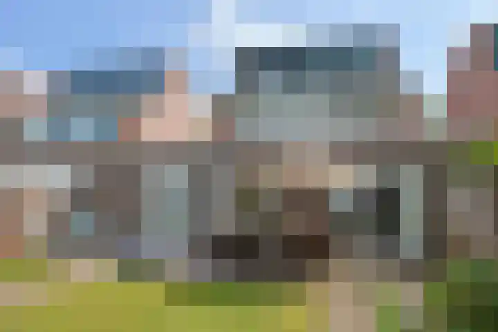 Bieslook 60 Oisterwijk thumbnail 30