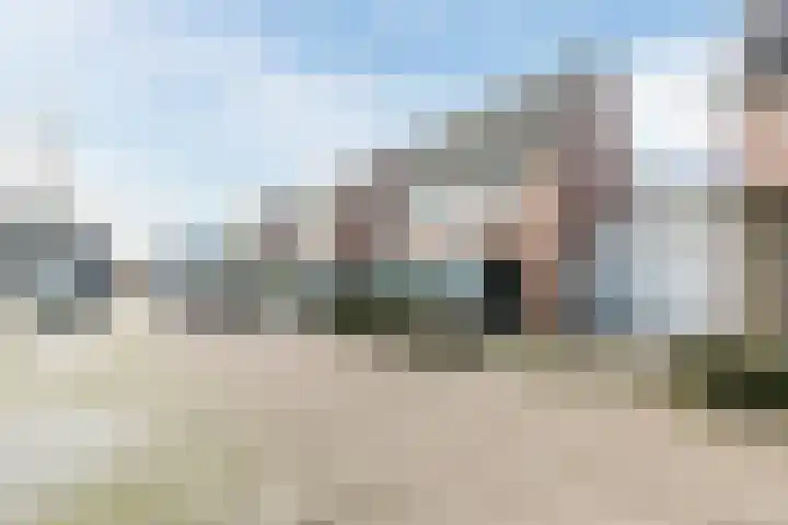 Bieslook 60 Oisterwijk thumbnail 31