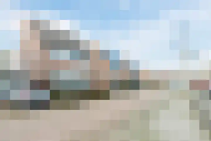 Bieslook 60 Oisterwijk thumbnail 32