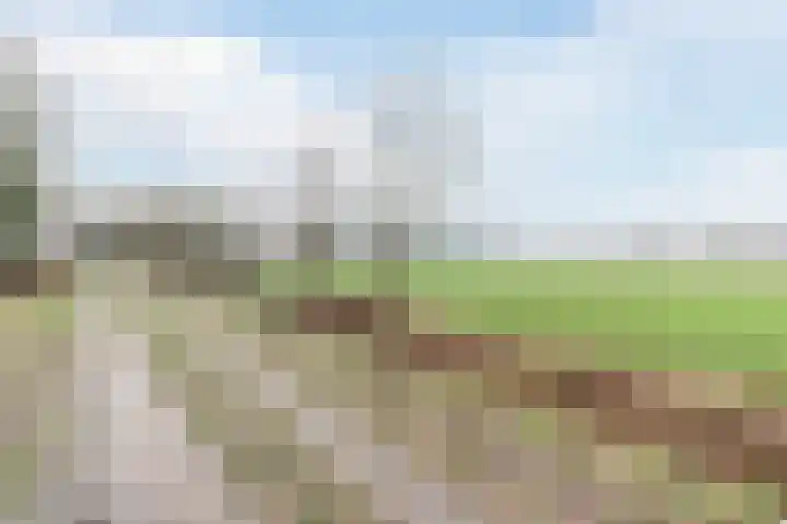 Bieslook 60 Oisterwijk thumbnail 33