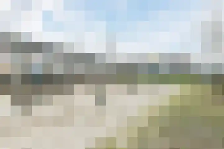 Bieslook 60 Oisterwijk thumbnail 34