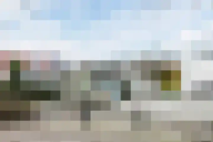 Bieslook 60 Oisterwijk thumbnail 35