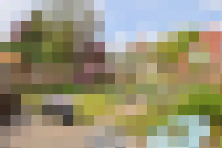 Bieslook 60 Oisterwijk thumbnail 5