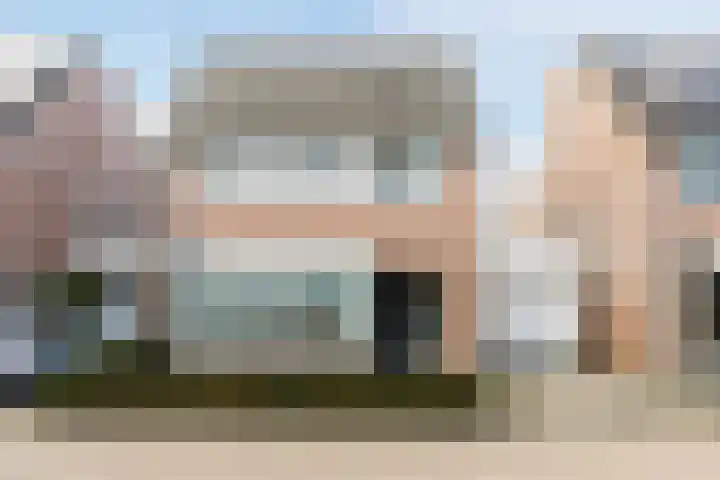 Bieslook 60 Oisterwijk thumbnail 8