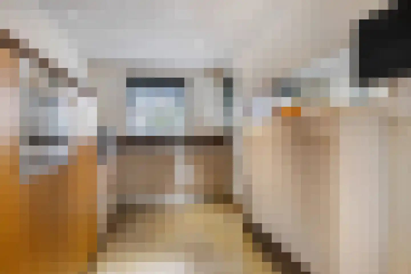 Bieslook 63 Oisterwijk thumbnail 18